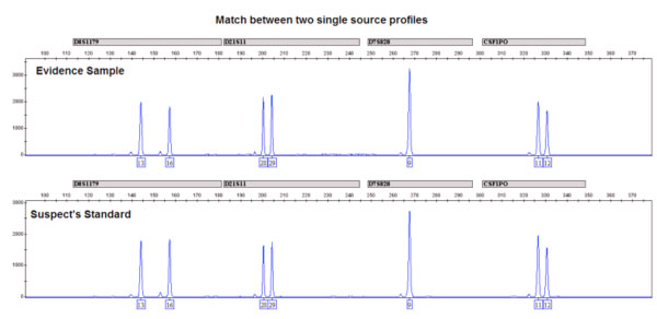 2 graphs displaying lines with matching peaks